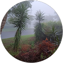 Thiong-Ann See profile picture